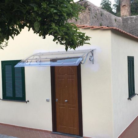La Finestra Sul Giardino Leilighet Ischia Eksteriør bilde