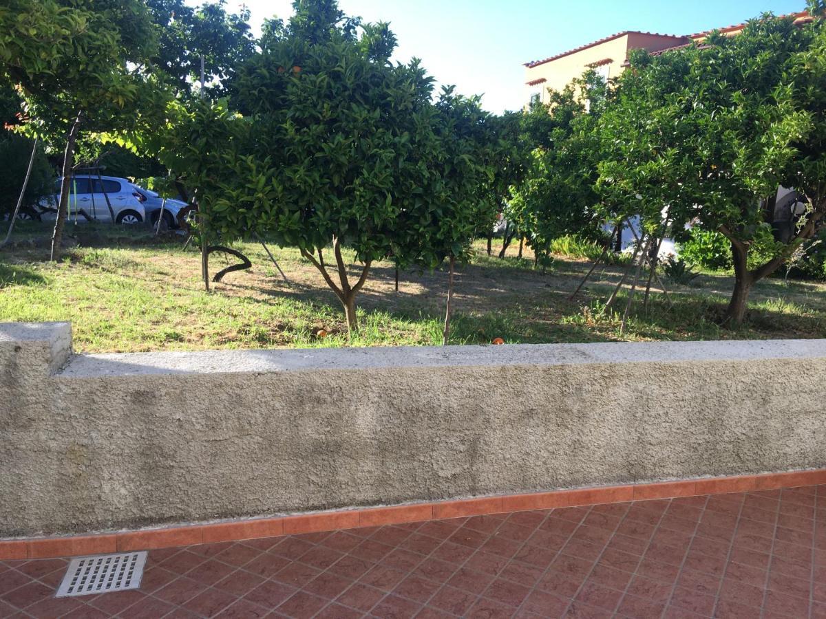 La Finestra Sul Giardino Leilighet Ischia Eksteriør bilde